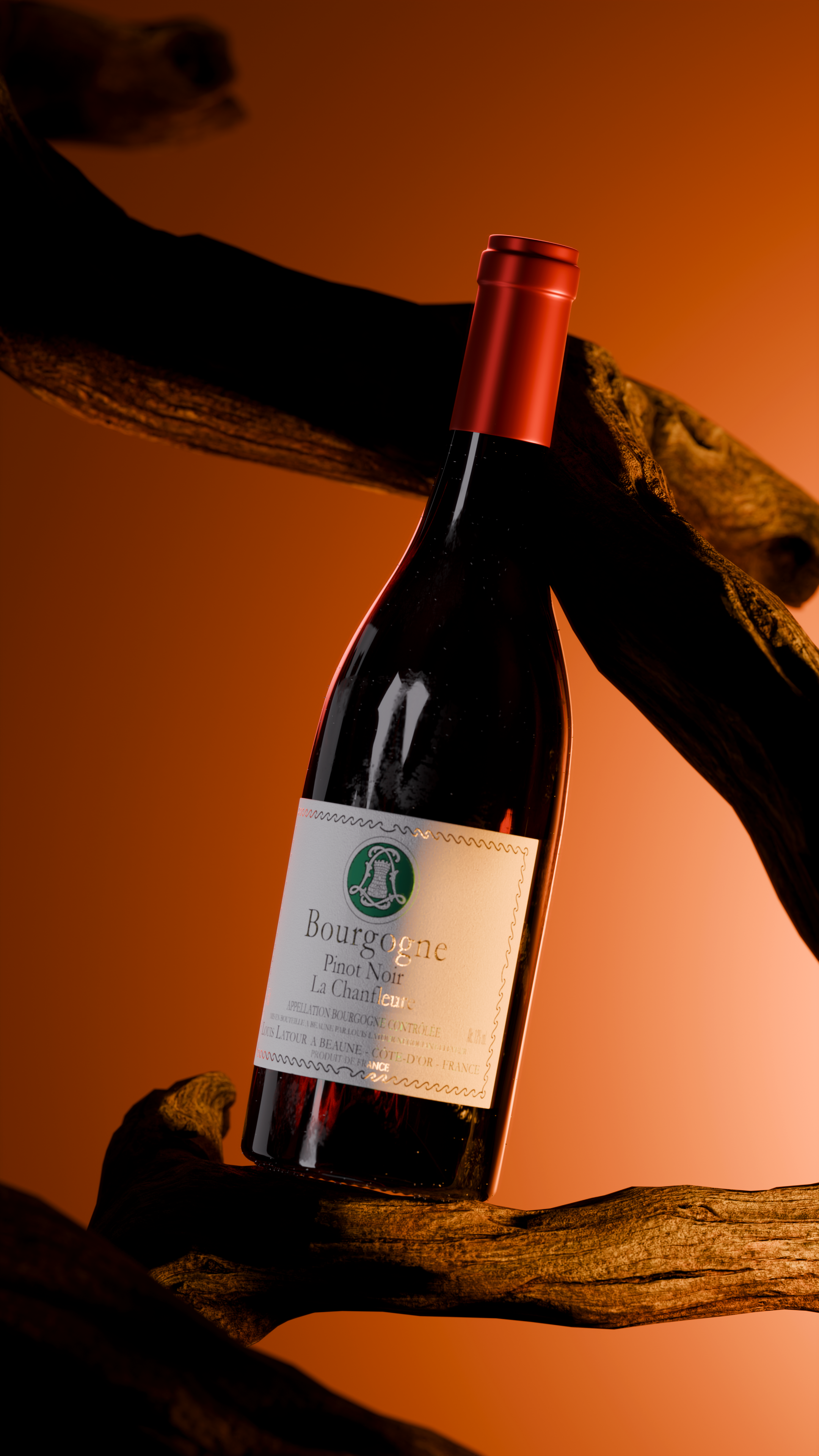 Rendu 3D Bouteille Vin